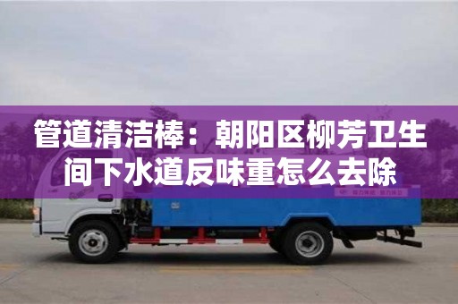 北京管道清潔棒：朝陽區(qū)柳芳衛(wèi)生間下水道反味重怎么去除