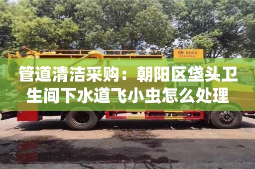 北京管道清潔采購：朝陽區(qū)垡頭衛(wèi)生間下水道飛小蟲怎么處理