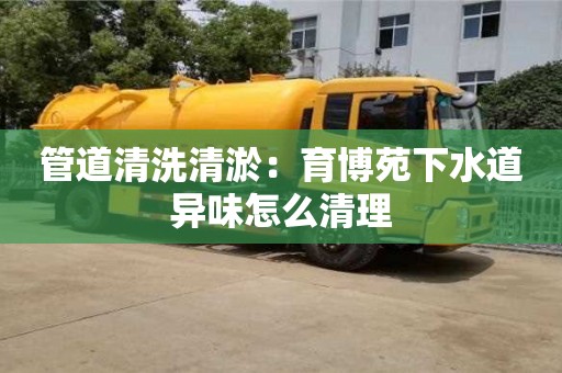 北京管道清洗清淤：育博苑下水道異味怎么清理