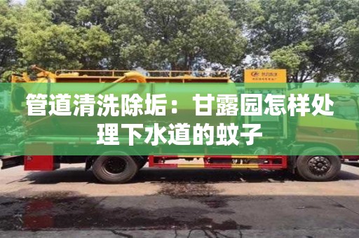 北京管道清洗除垢：甘露園怎樣處理下水道的蚊子