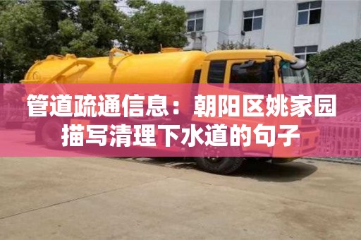 北京管道疏通信息：朝陽區姚家園描寫清理下水道的句子