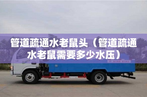 管道疏通水老鼠頭（管道疏通水老鼠需要多少水壓）