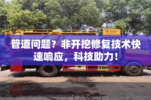 北京管道問題？非開挖修復(fù)技術(shù)快速響應(yīng)，科技助力！