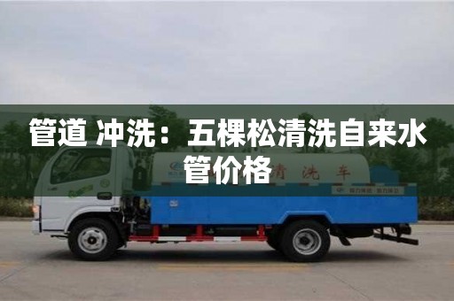 北京管道 沖洗：五棵松清洗自來水管價格