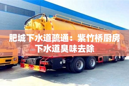 肥城下水道疏通：紫竹橋廚房下水道臭味去除