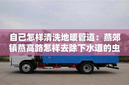 自己怎樣清洗地暖管道：燕郊鎮燕高路怎樣去除下水道的蟲子