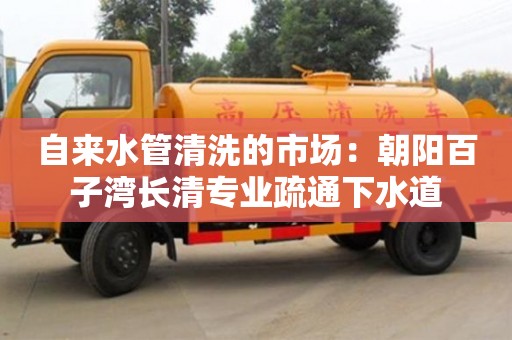 北京自來水管清洗的市場：朝陽百子灣長清專業疏通下水道