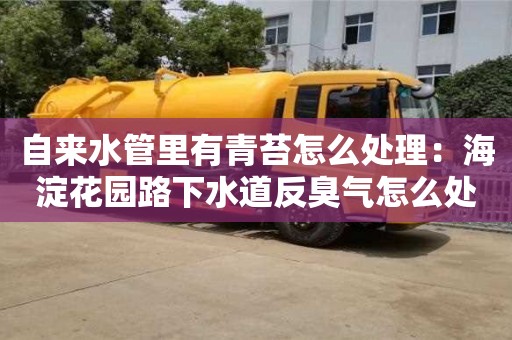 北京自來水管里有青苔怎么處理：海淀花園路下水道反臭氣怎么處理