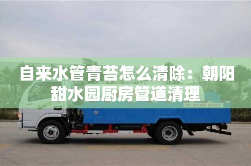 北京自來水管青苔怎么清除：朝陽甜水園廚房管道清理