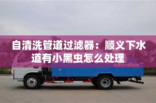北京自清洗管道過濾器：順義下水道有小黑蟲怎么處理