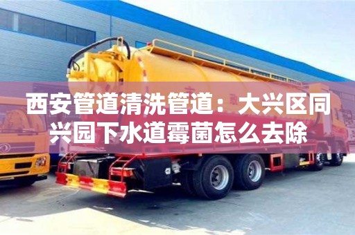 北京西安管道清洗管道：大興區同興園下水道霉菌怎么去除