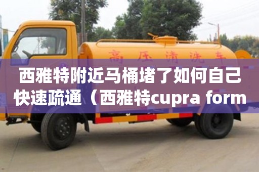 西雅特附近馬桶堵了如何自己快速疏通（西雅特cupra formentor）