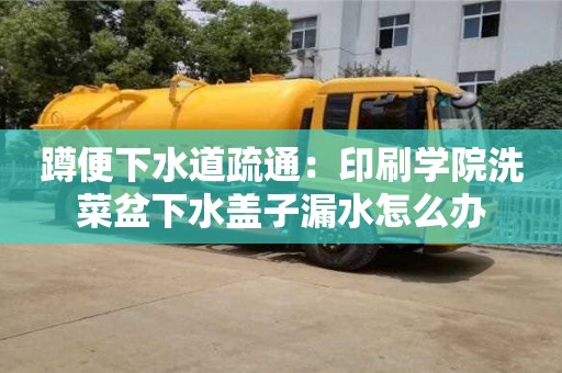 蹲便下水道疏通：印刷學院洗菜盆下水蓋子漏水怎么辦