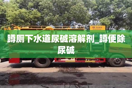 蹲廁下水道尿堿溶解劑_蹲便除尿堿 蹲廁下水道尿堿溶解劑_蹲便除尿堿