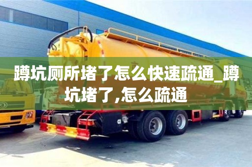 北京蹲坑廁所堵了怎么快速疏通_蹲坑堵了,怎么疏通