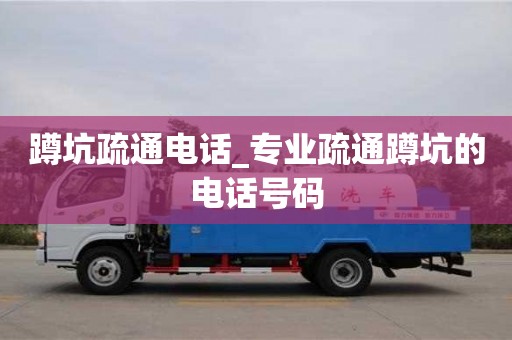 蹲坑疏通電話_專業(yè)疏通蹲坑的電話號(hào)碼