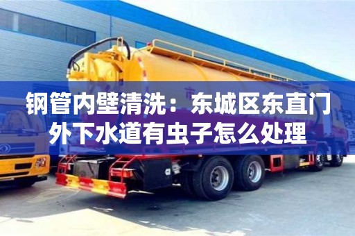 北京鋼管內(nèi)壁清洗：東城區(qū)東直門外下水道有蟲子怎么處理