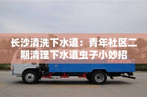 長沙清洗下水道：青年社區二期清理下水道蟲子小妙招