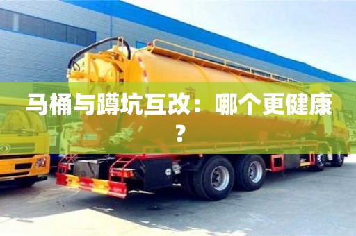 北京馬桶與蹲坑互改：哪個更健康？