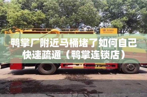 鴨掌廠附近馬桶堵了如何自己快速疏通（鴨掌連鎖店）